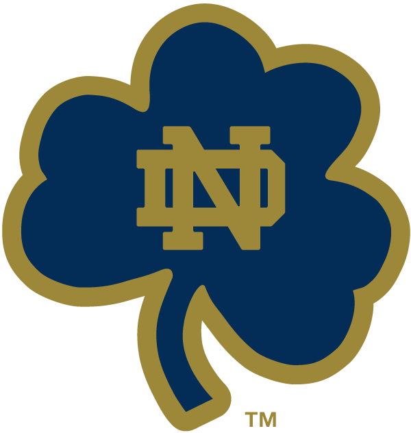 Notre Dame Fighting Irish 1994-Pres Alternate Logo v18 diy fabric transfer
